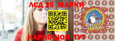 крисы Будённовск