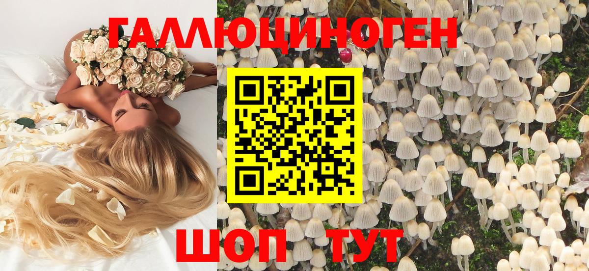Галлюциногенные грибы Psilocybe Чебаркуль