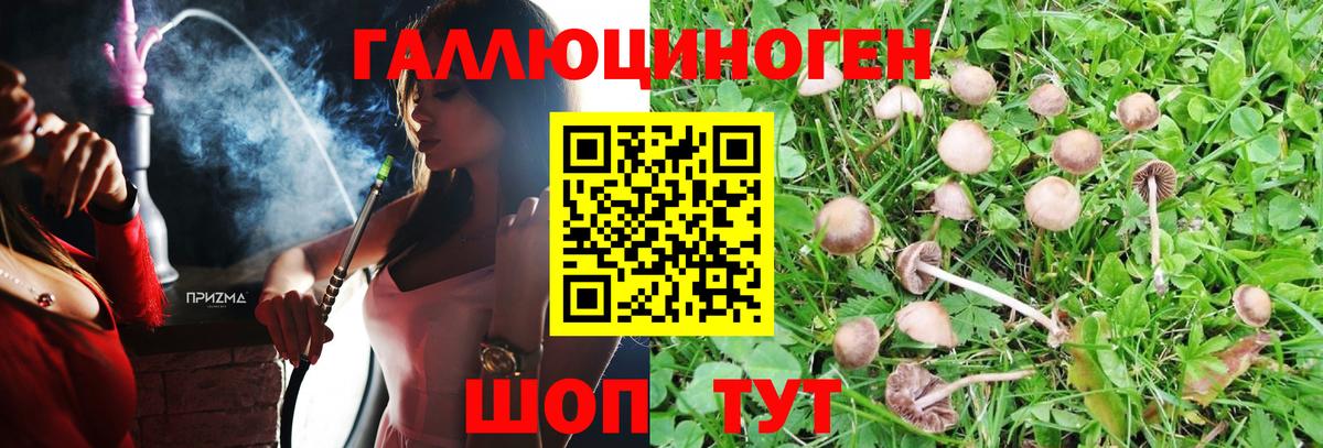 Галлюциногенные грибы GOLDEN TEACHER  купить наркоту  Чебаркуль  Вход с VPN 